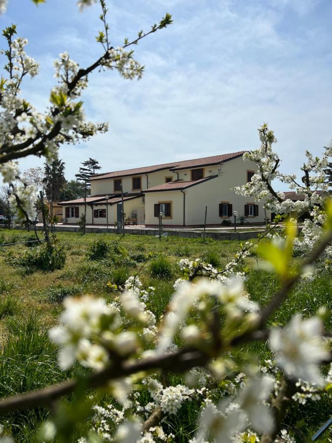 Tenuta Fasanarella バッティパーリア エクステリア 写真